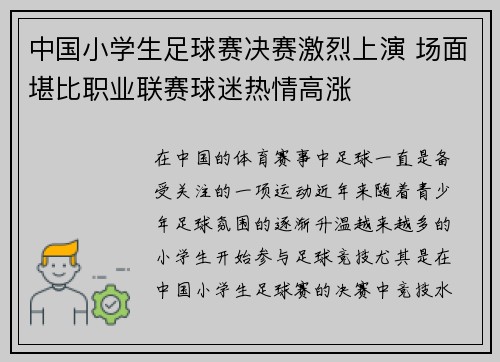 中国小学生足球赛决赛激烈上演 场面堪比职业联赛球迷热情高涨